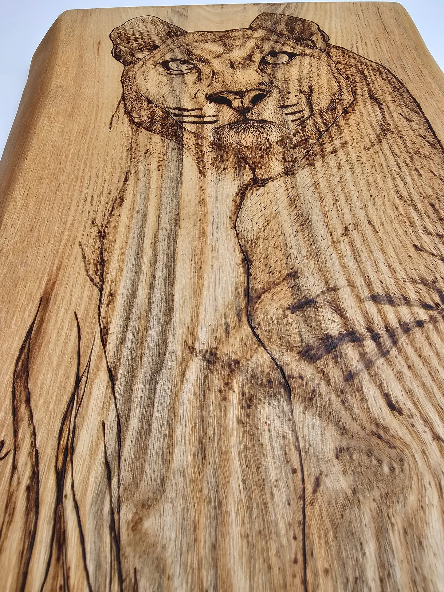 Valentina The Puma Wall Decor