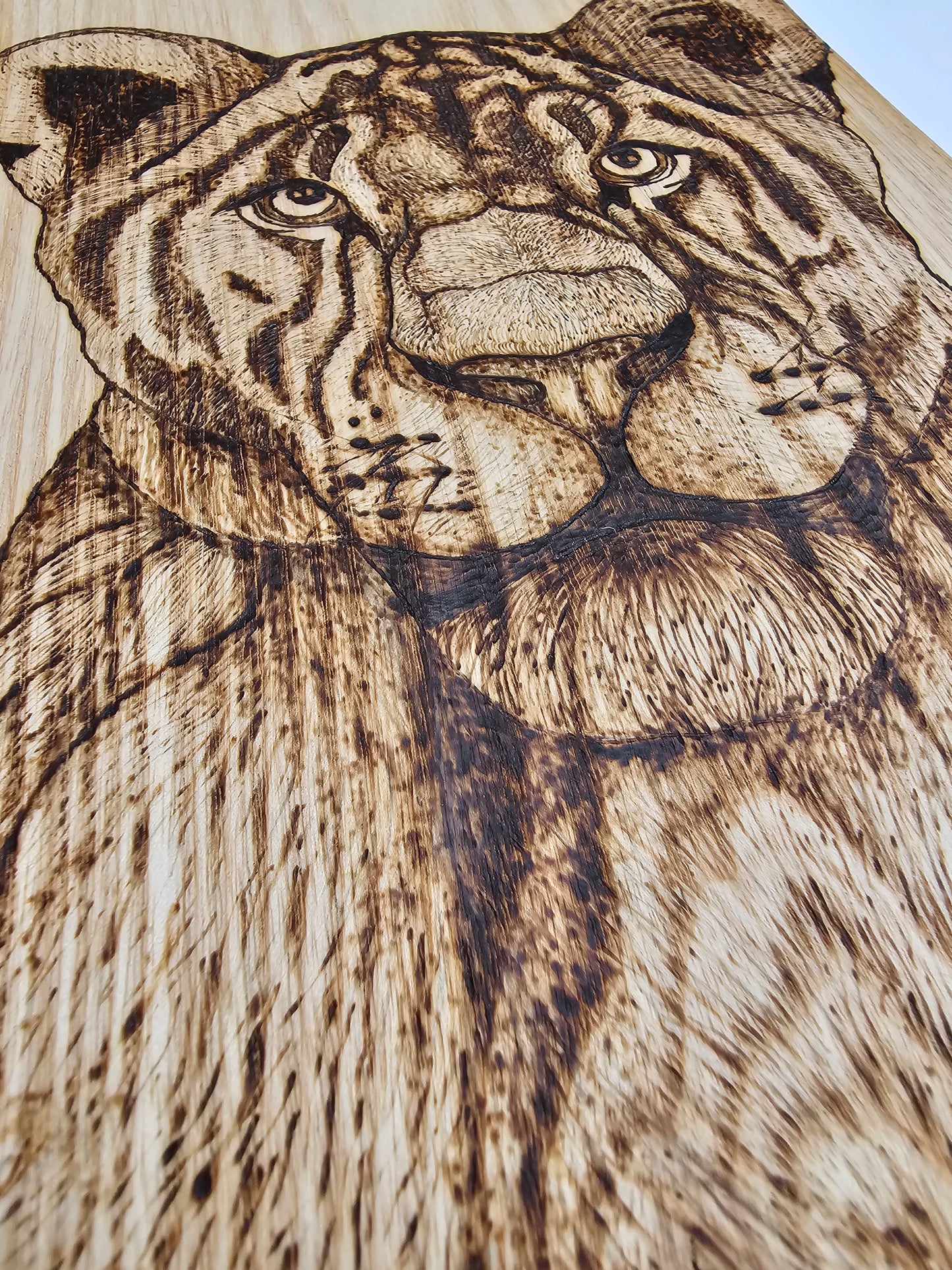 Lioness Wall Decor