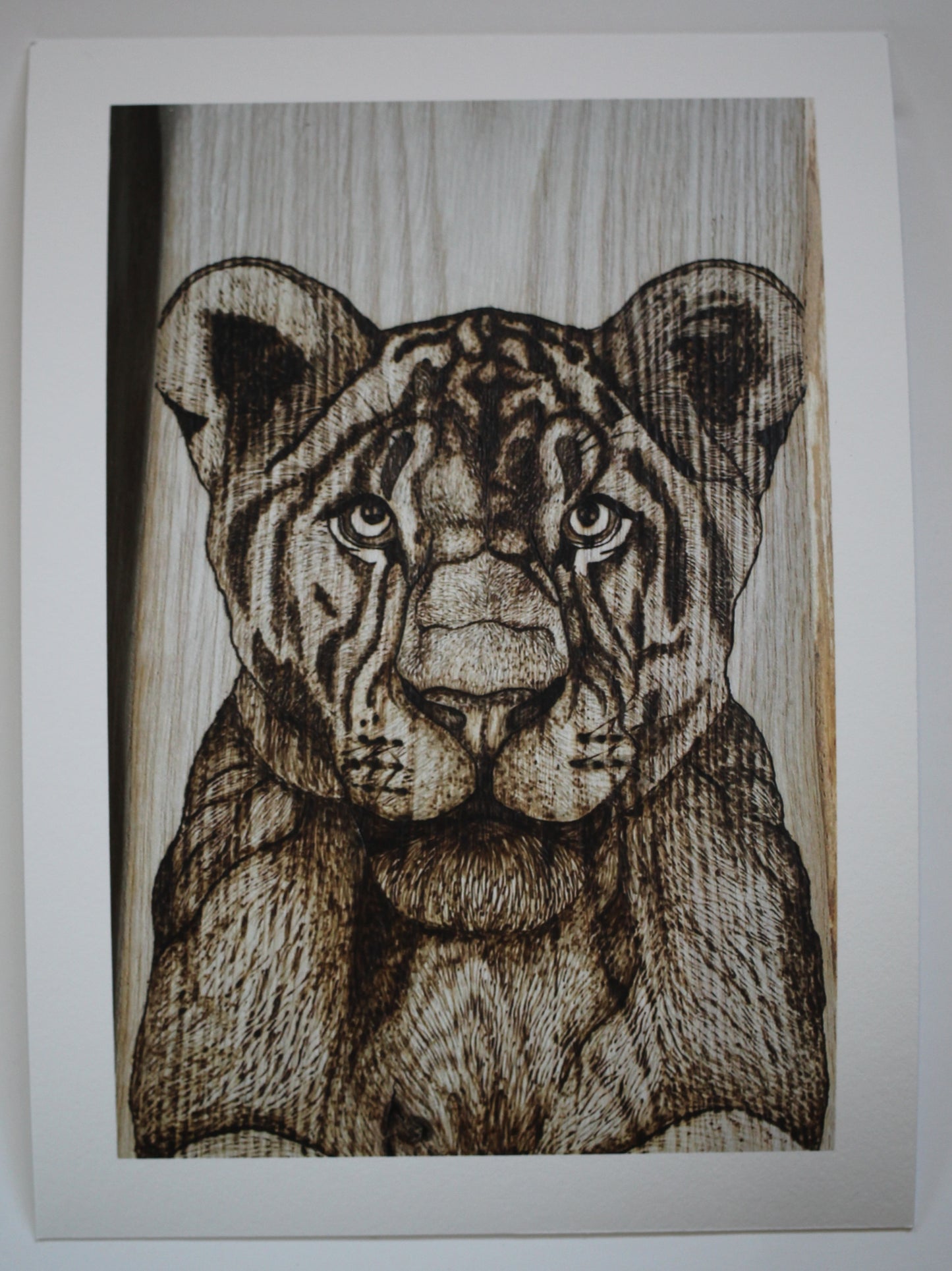 Fine Art Prints