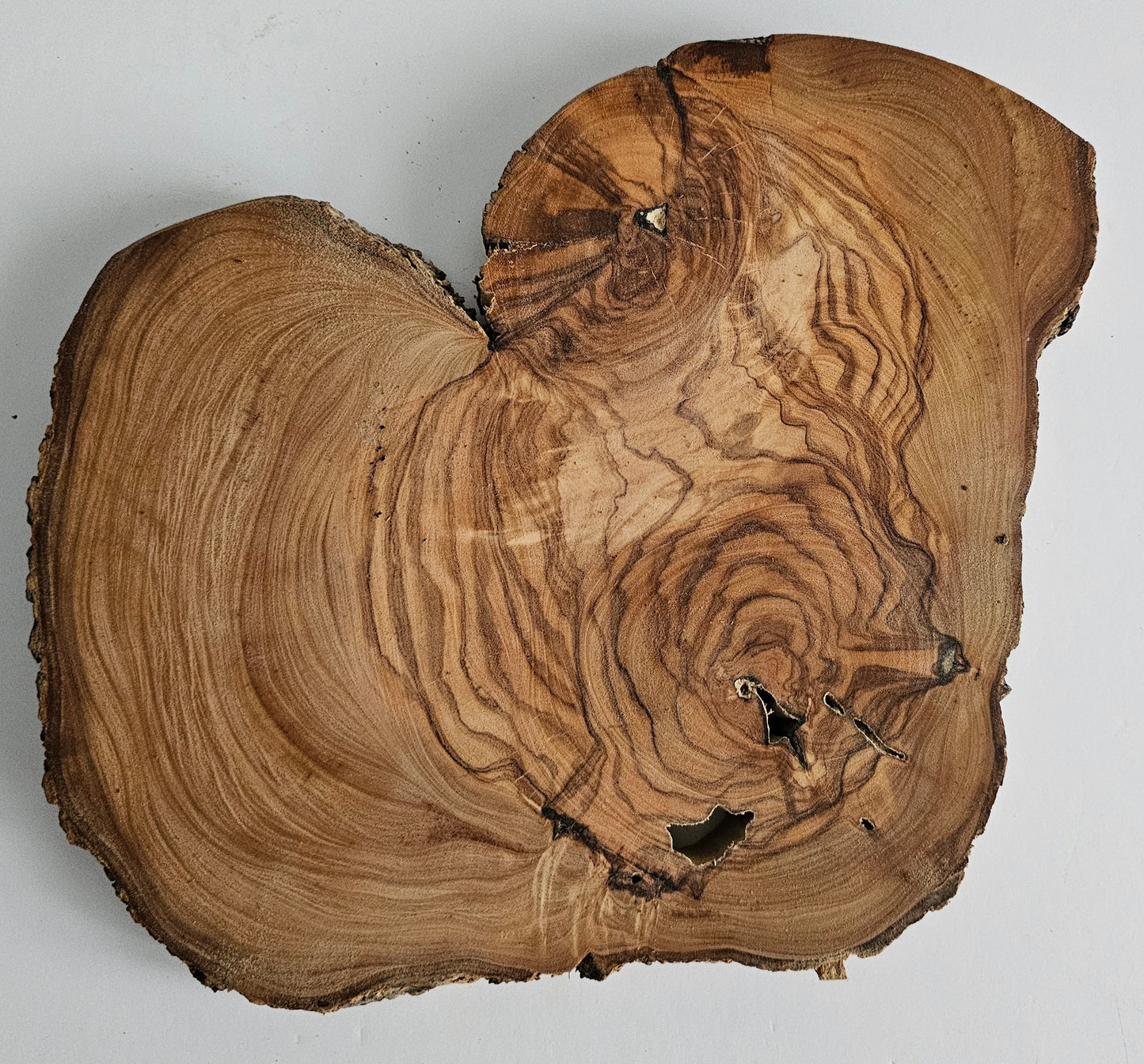 Natural Olive Wood Log Slice - S14