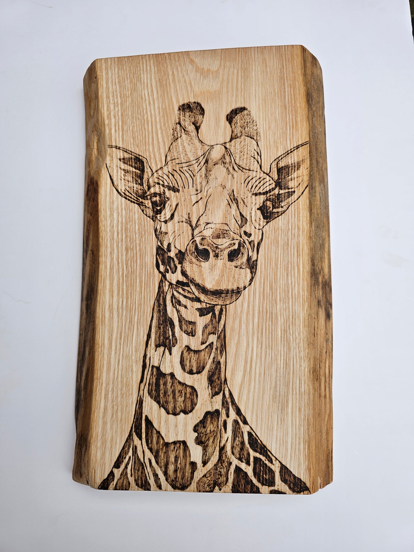 Giraffe Wall Decor
