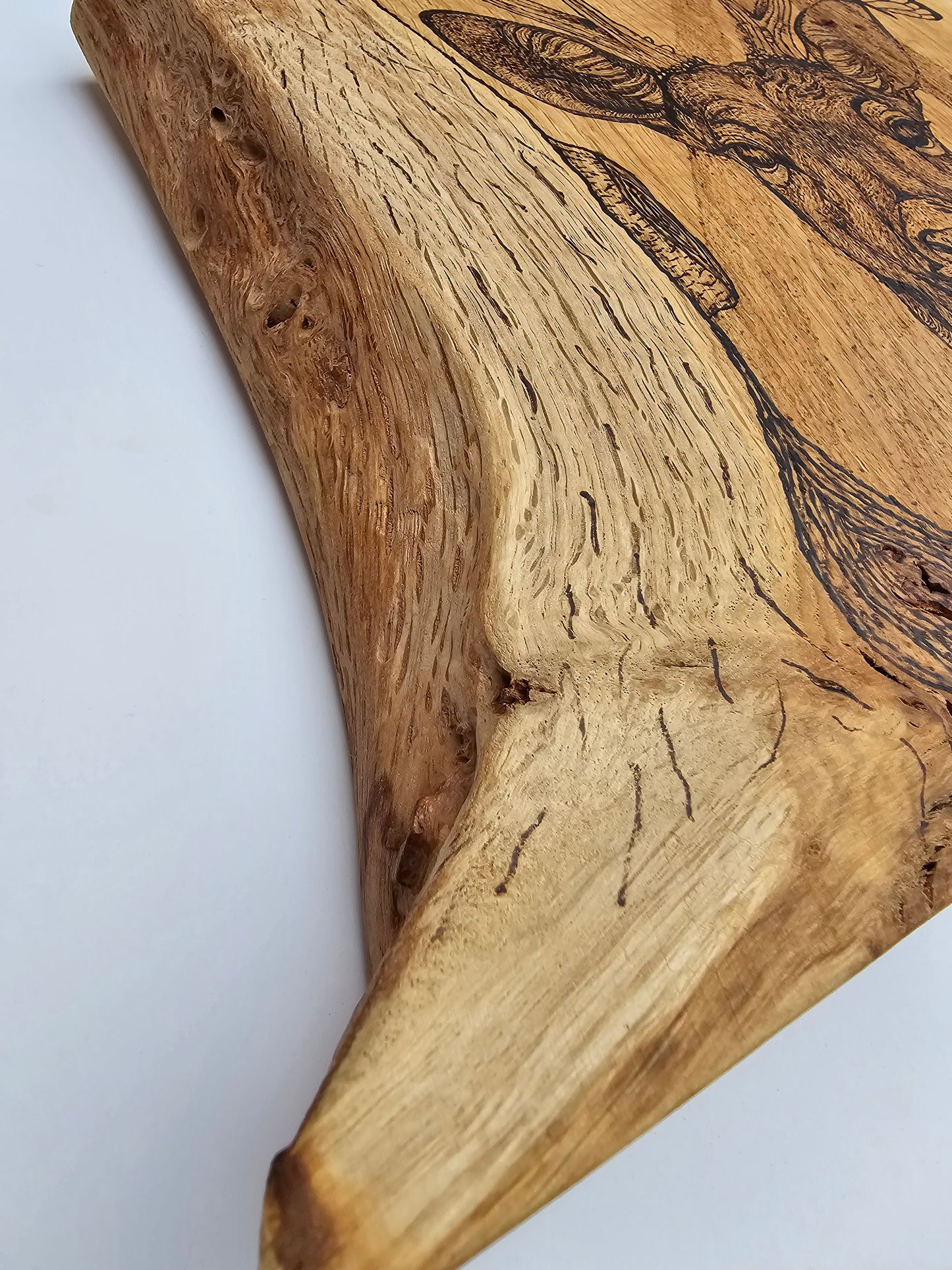 Deer And Butterfly Wall Decor