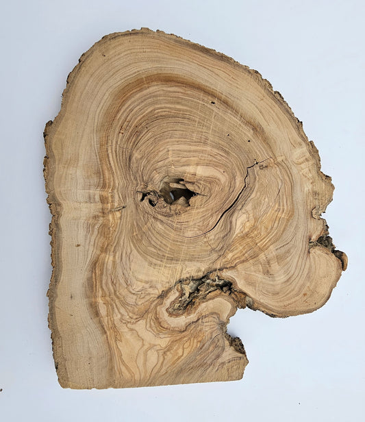 Natural Olive Wood Log Slice - S03