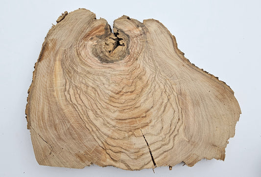 Natural Olive Wood Log Slice - S05