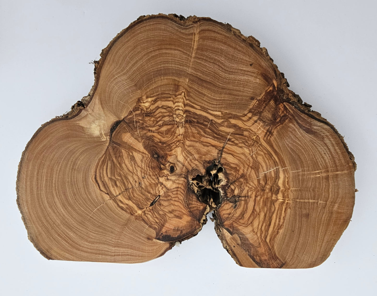 Natural Olive Wood Log Slice - S08
