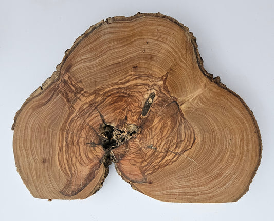 Natural Olive Wood Log Slice - S08