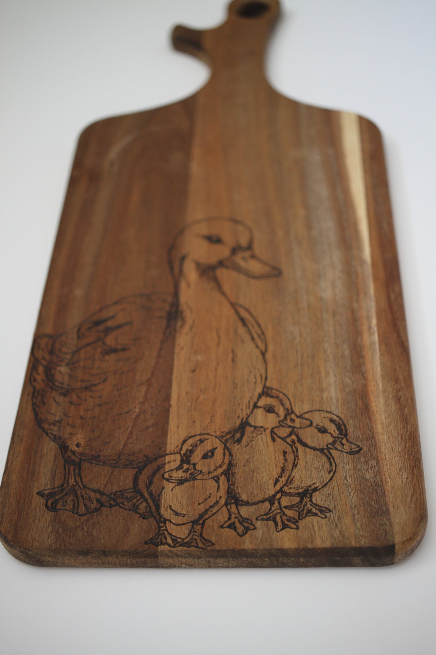 Mummy and baby ducks