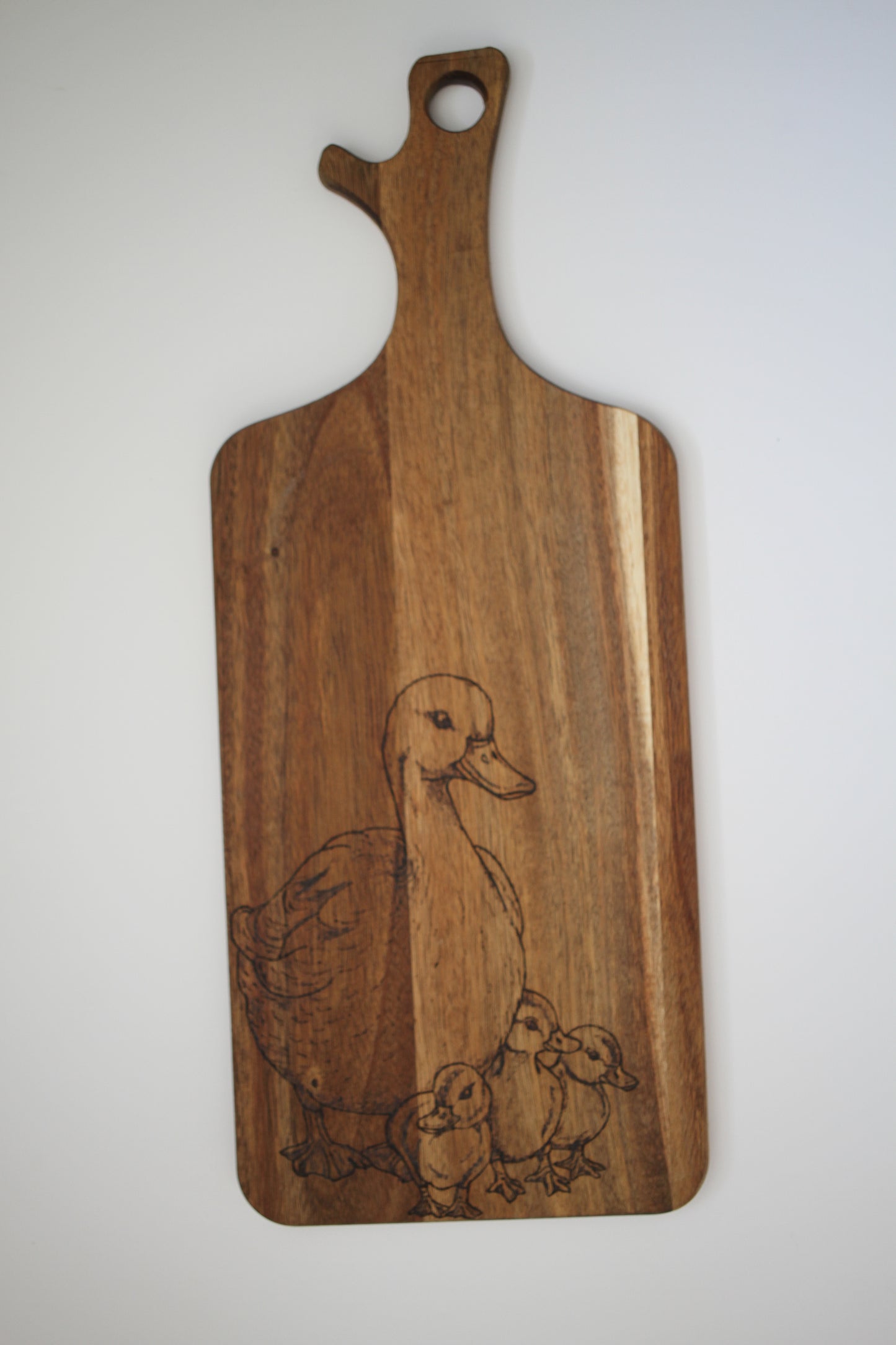 Mummy and baby ducks