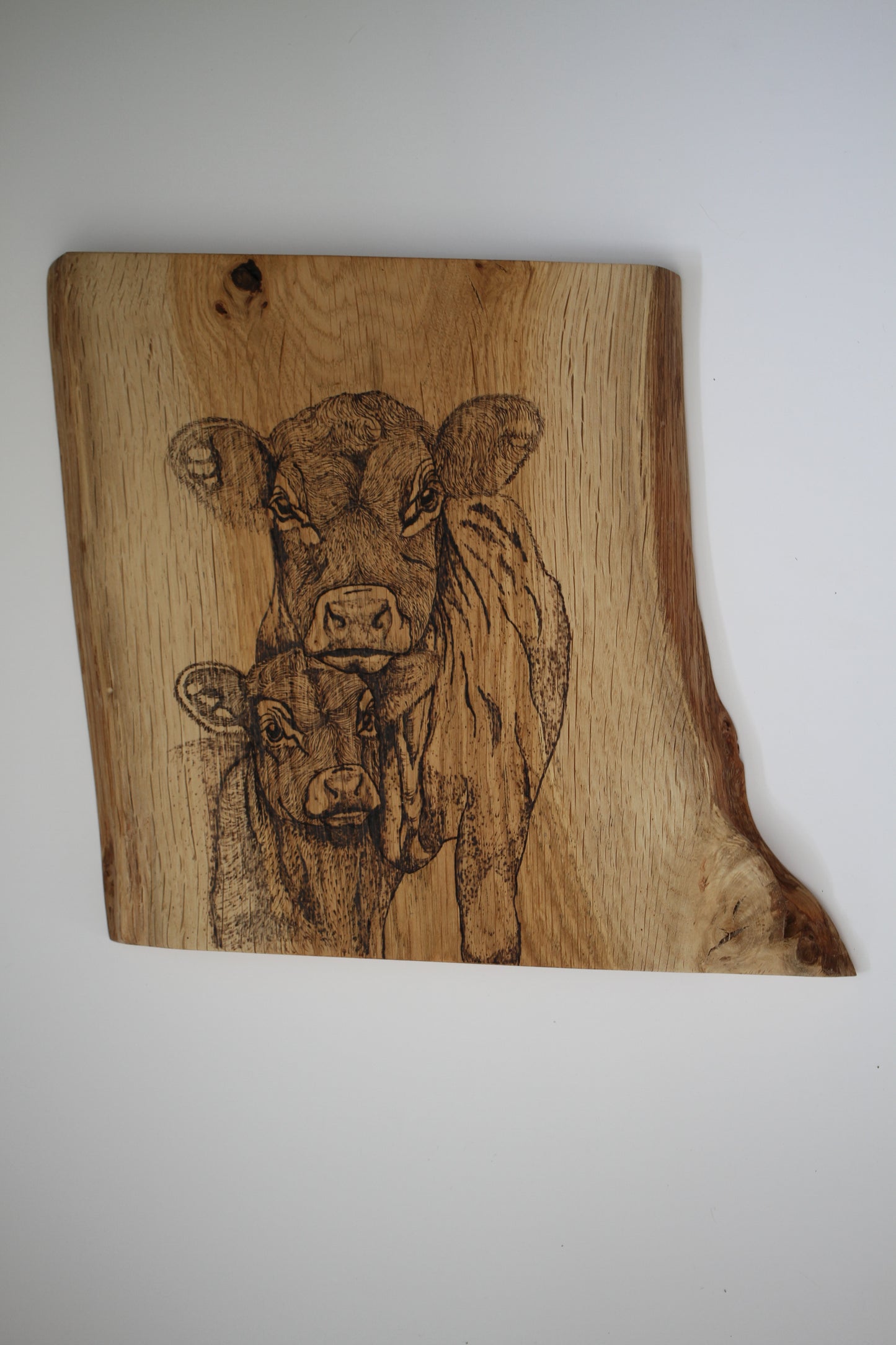 Cow & Calf wall decor