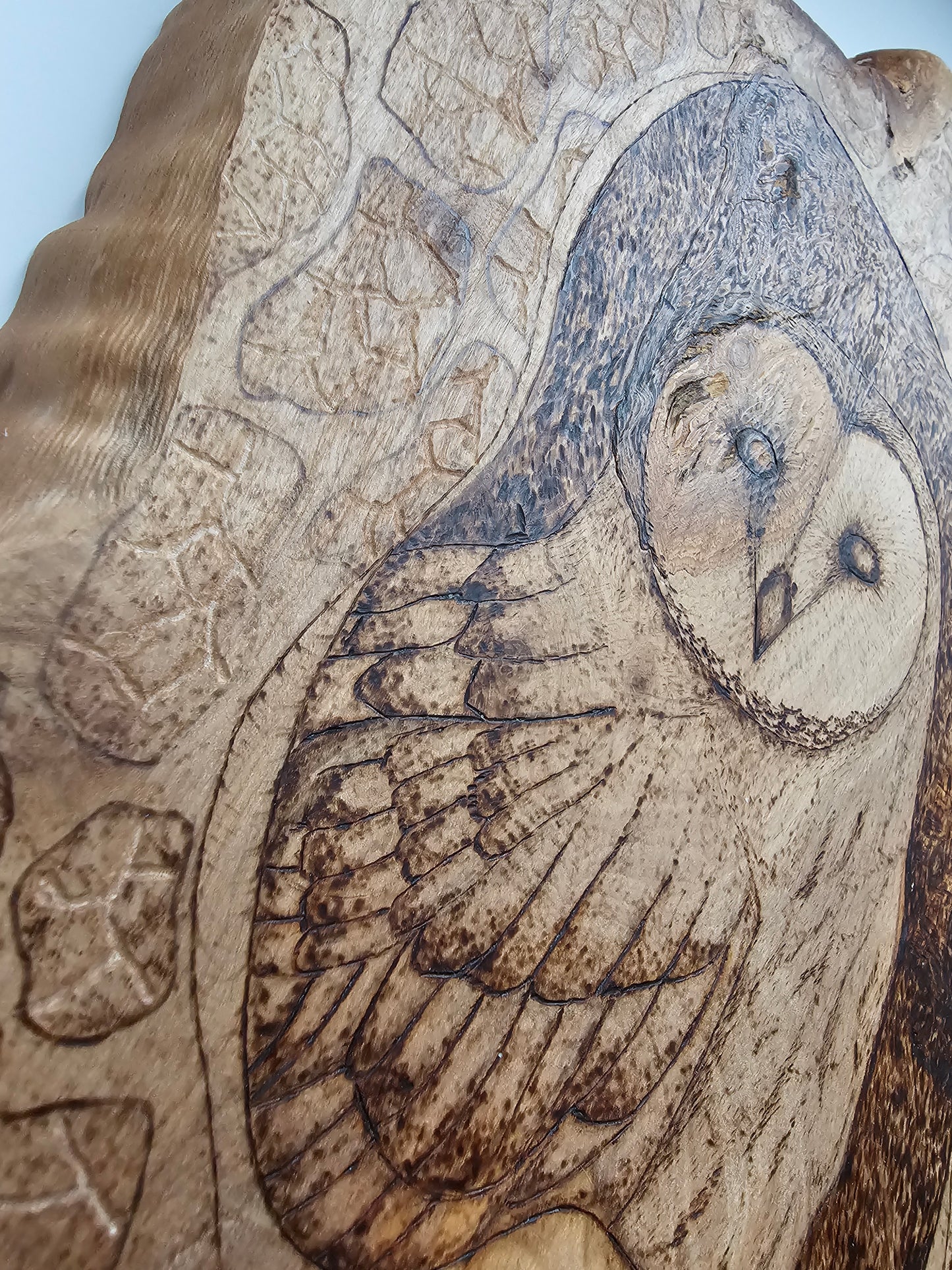 Olive Wood Owl Wall Decor