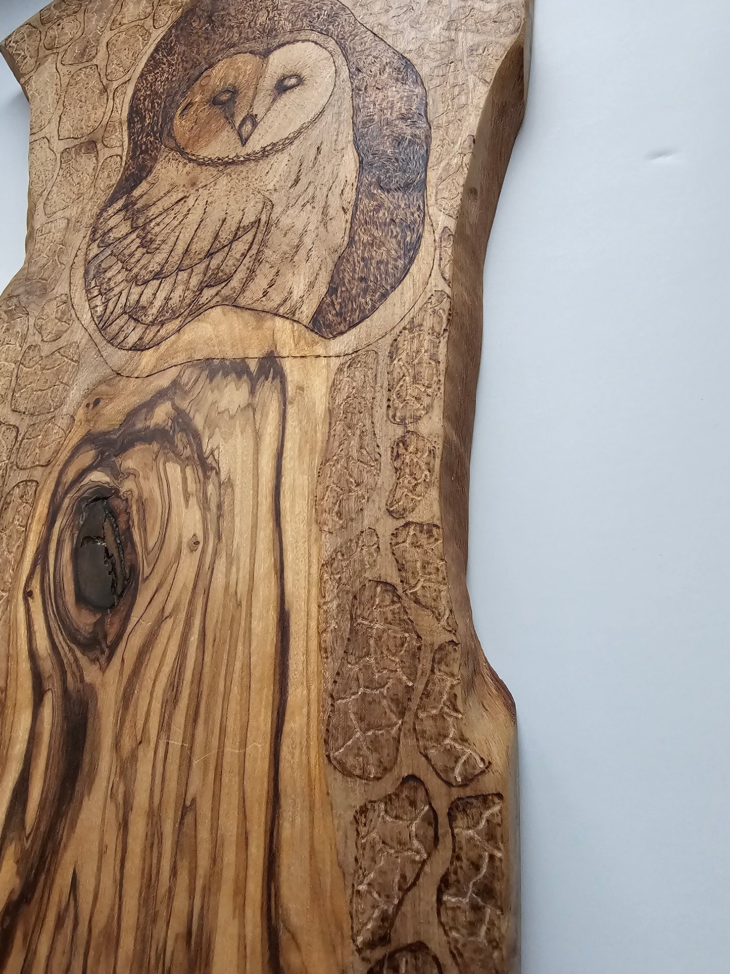 Olive Wood Owl Wall Decor