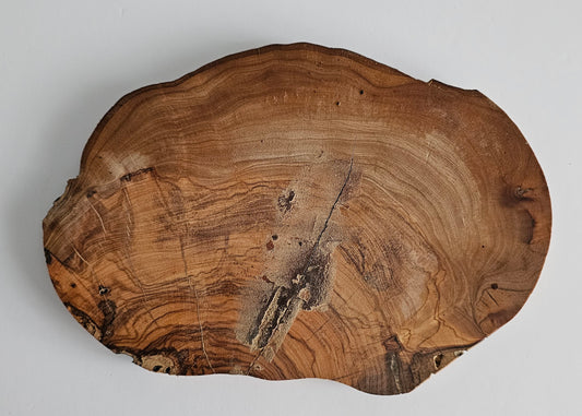 Natural Olive Wood Log Slice - S11
