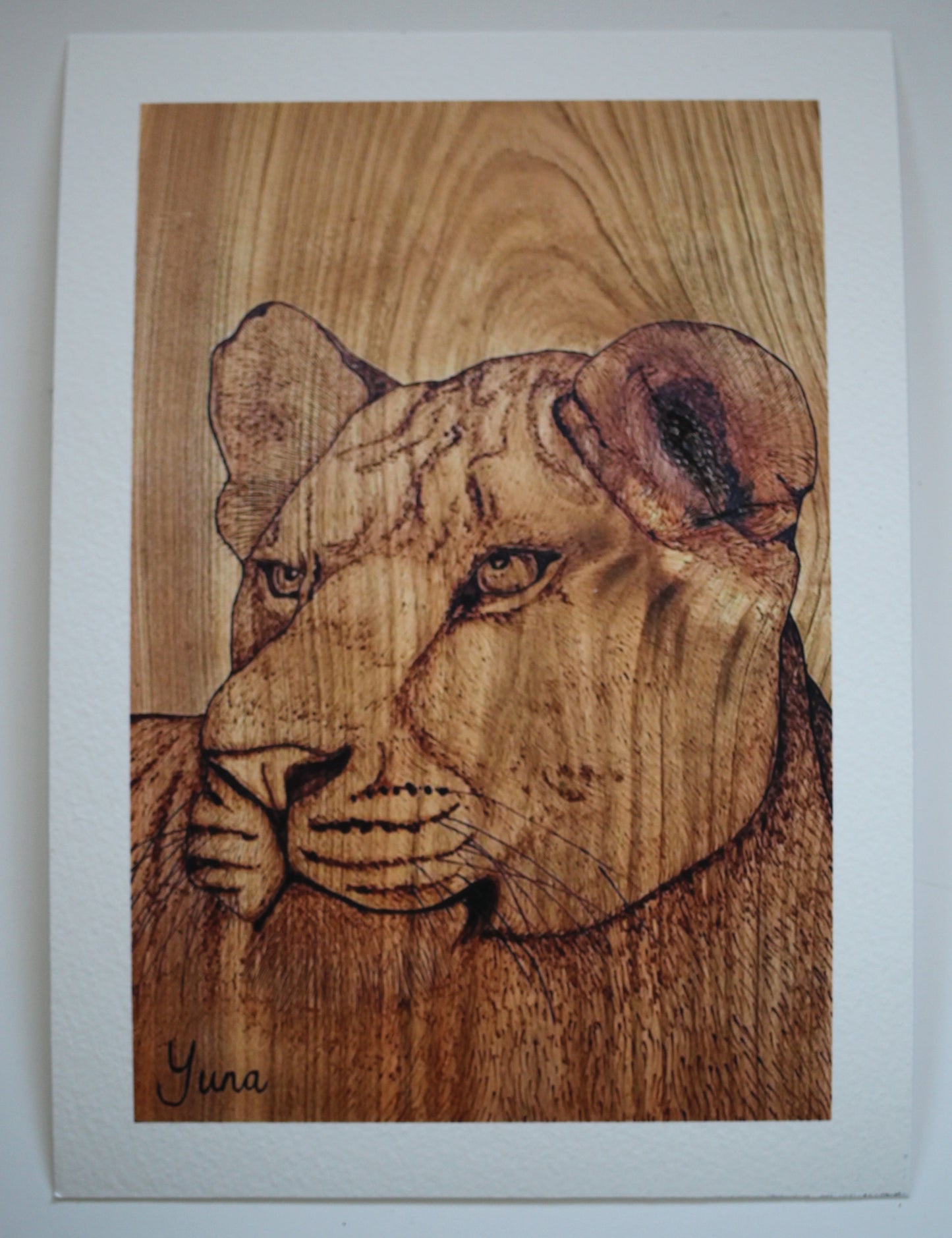 Fine Art Prints
