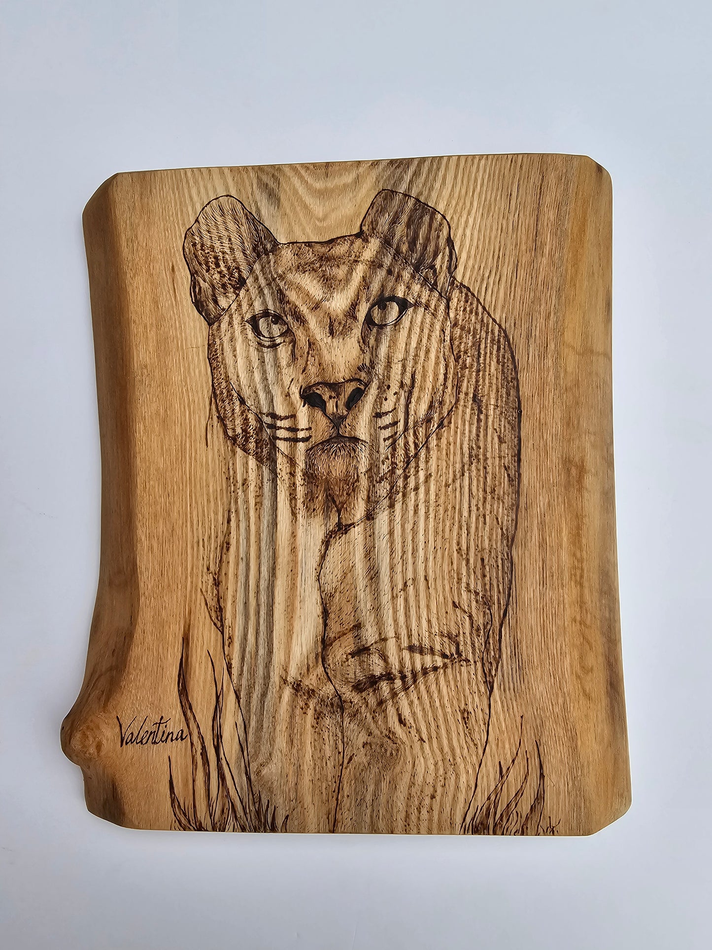 Valentina The Puma Wall Decor