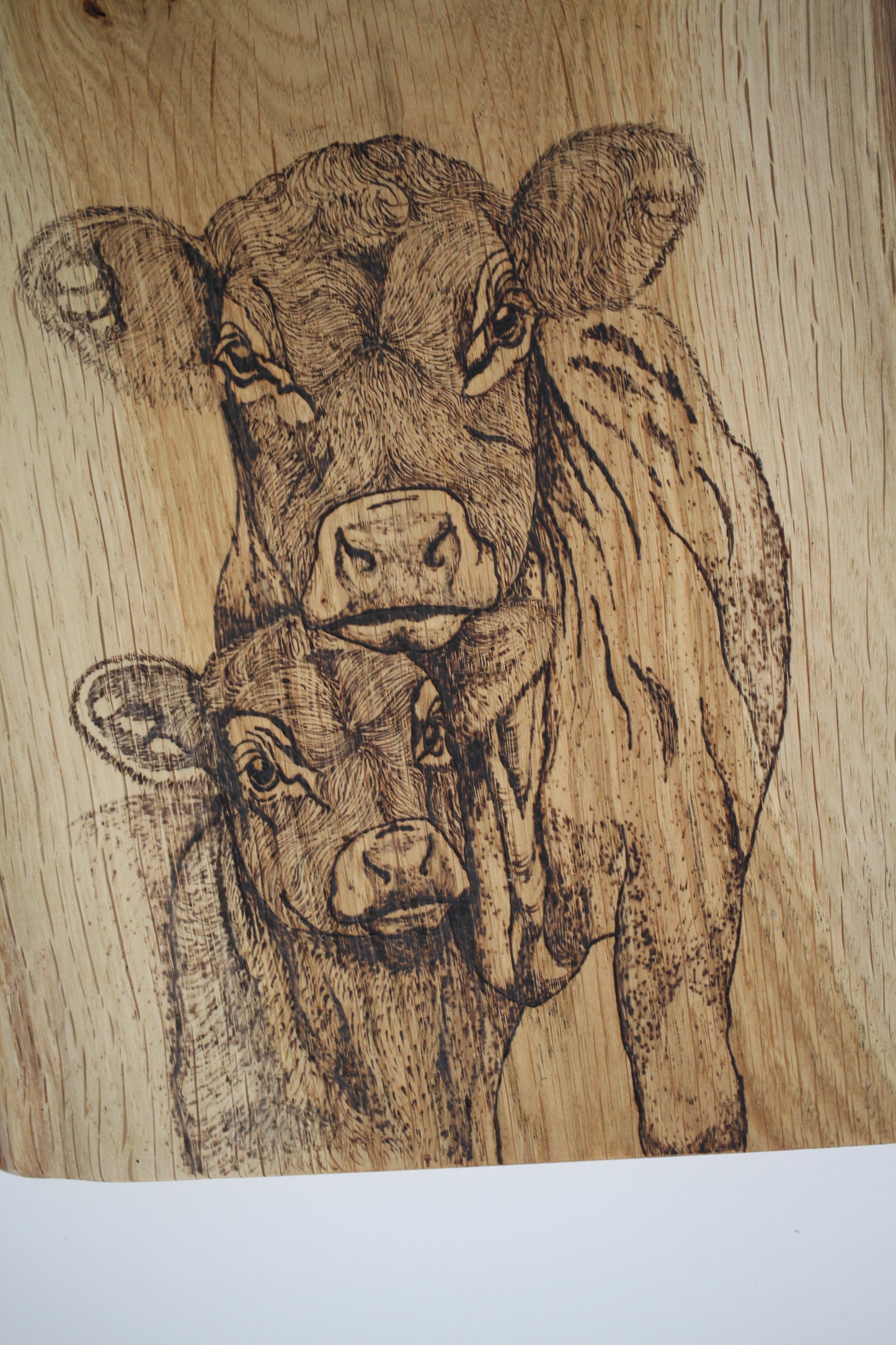 Cow & Calf wall decor