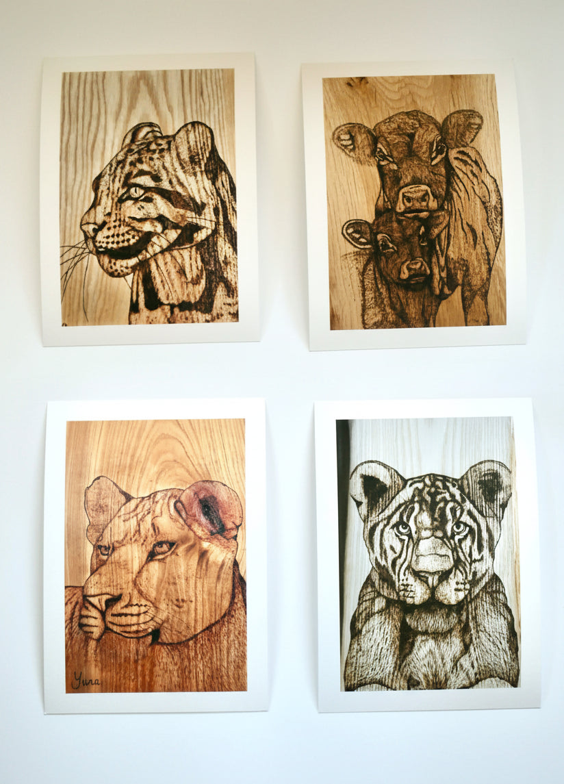 Fine Art Prints