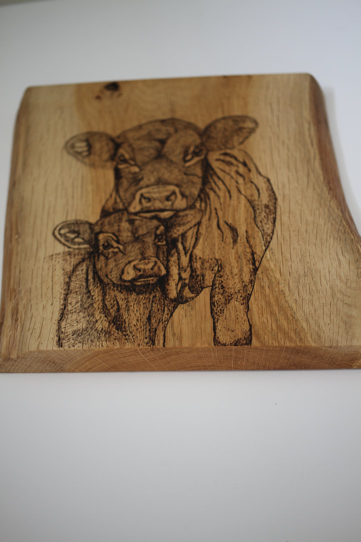 Cow & Calf wall decor