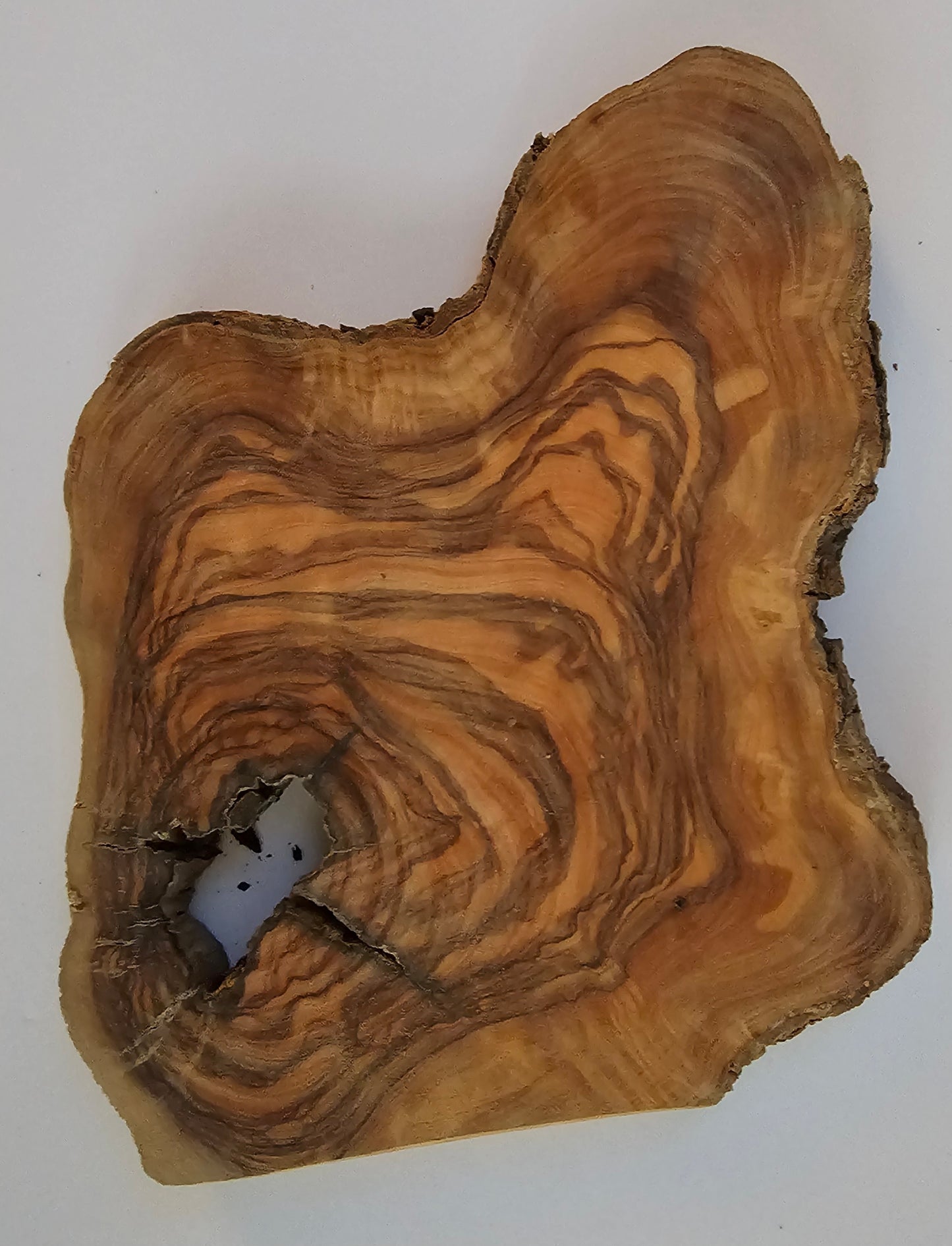 Natural Olive Wood Log Slice - S20
