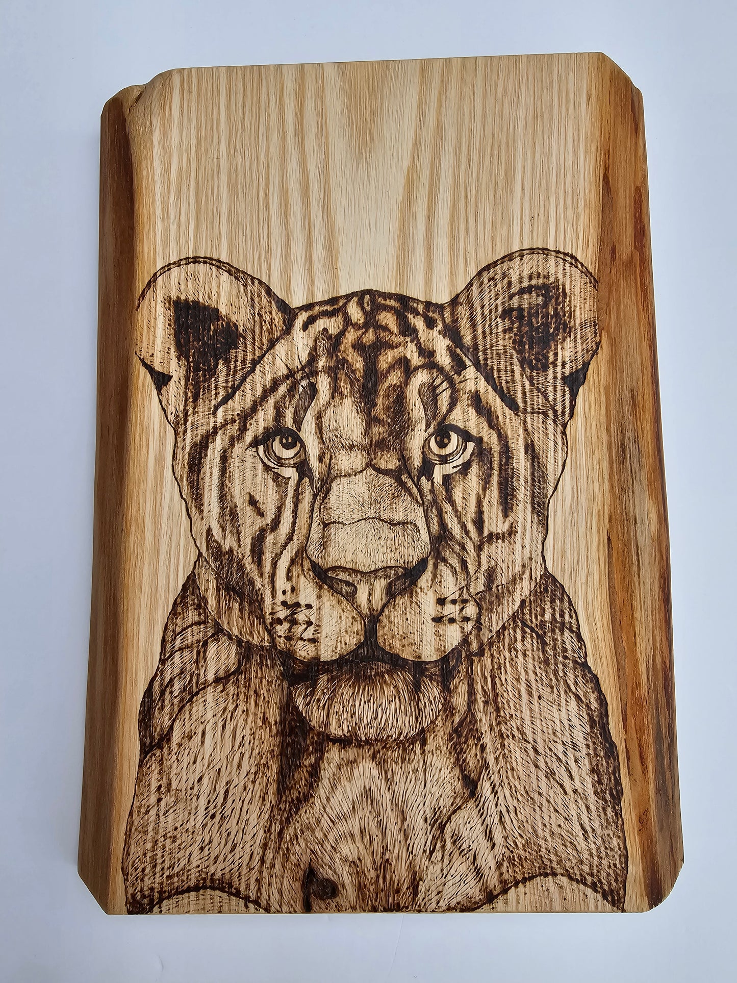Lioness Wall Decor
