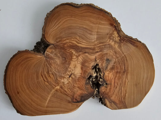 Natural Olive Wood Log Slice - S15