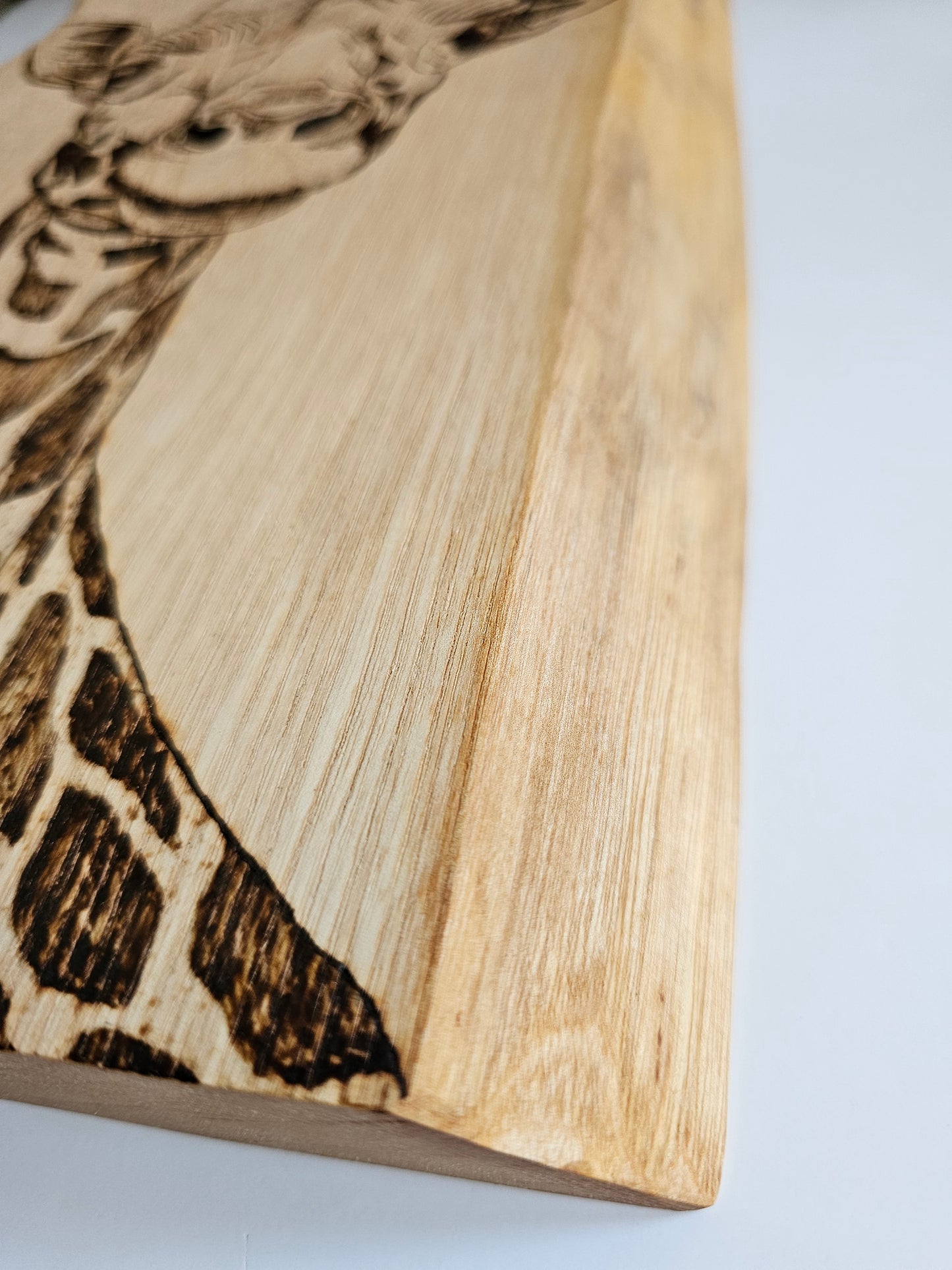 Giraffe Wall Decor