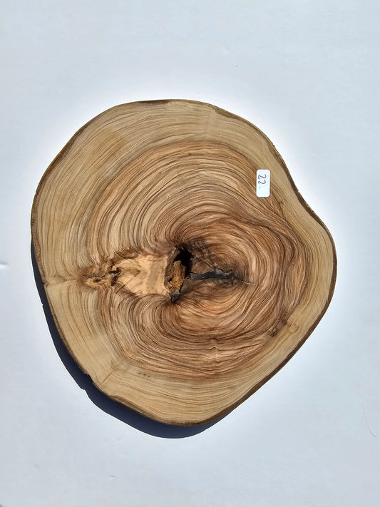 Natural Olive Wood Log Slice - S22