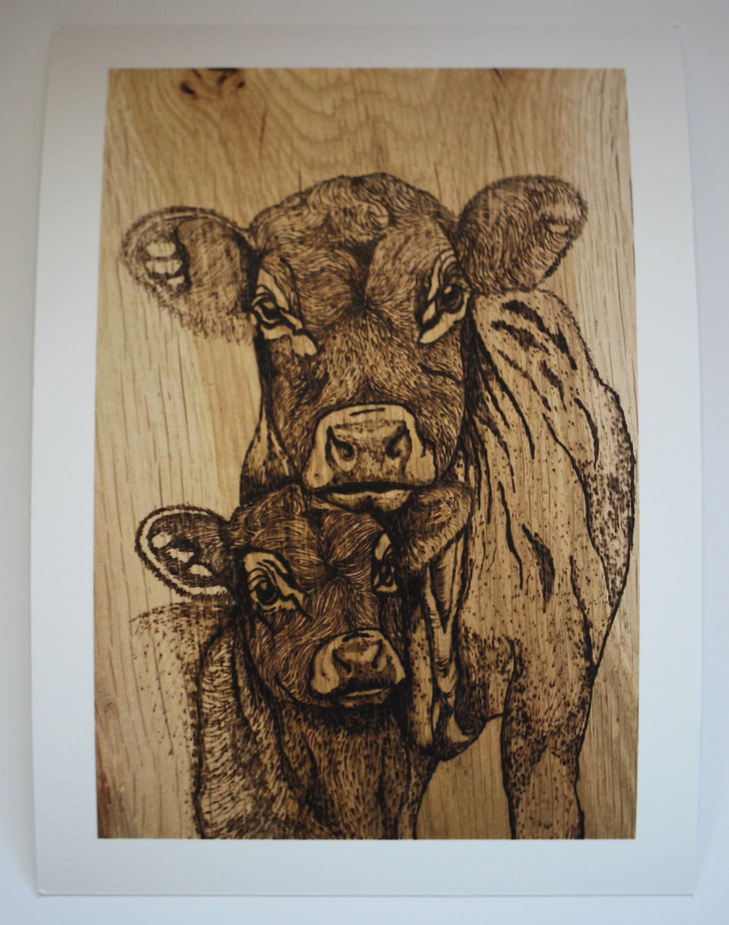 Fine Art Prints