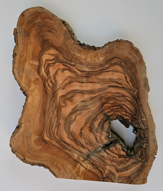 Natural Olive Wood Log Slice - S20