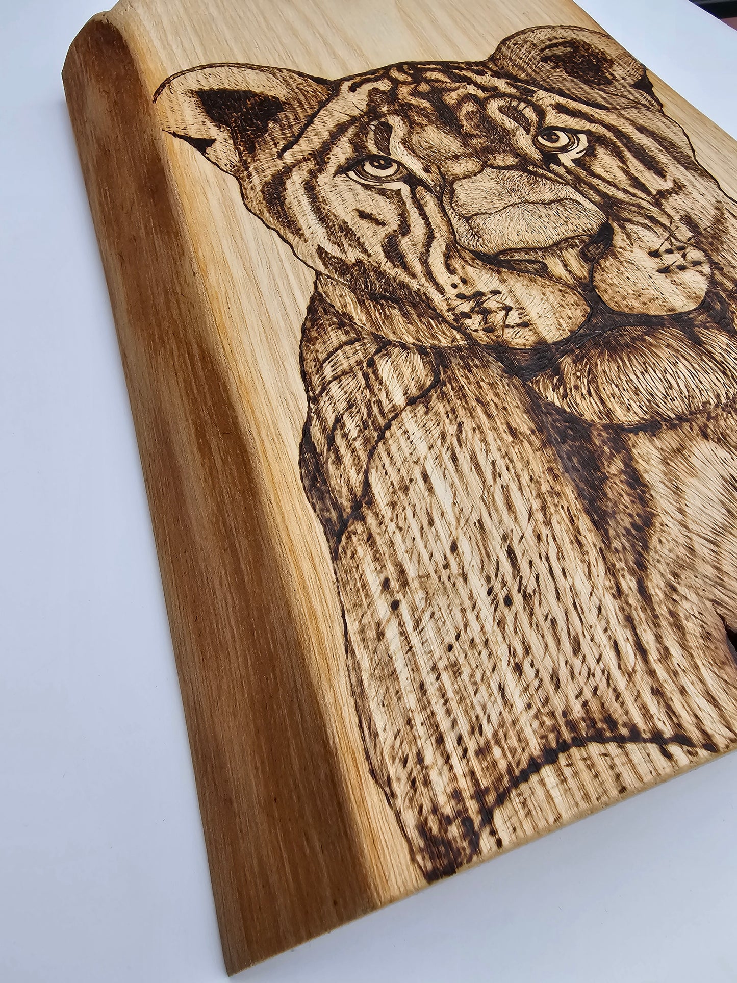Lioness Wall Decor