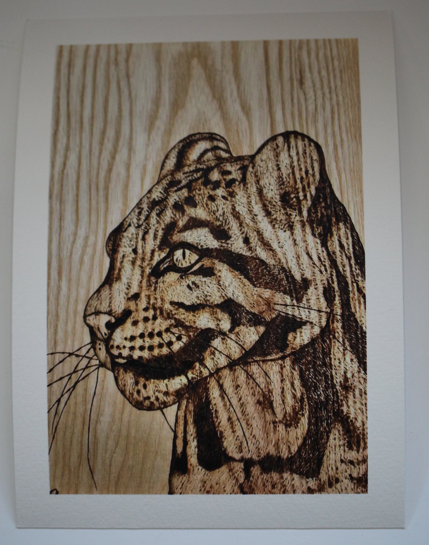 Fine Art Prints